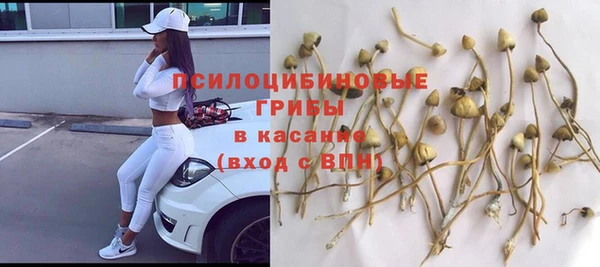 героин Михайлов