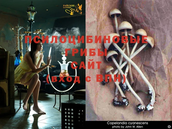 герыч Белокуриха