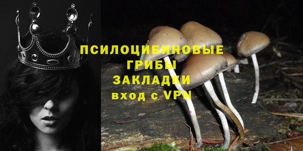 героин Михайлов
