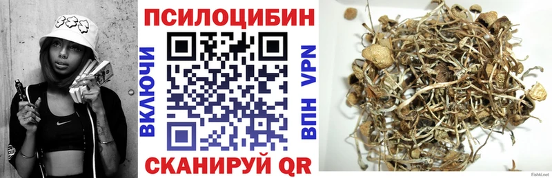 Псилоцибиновые грибы GOLDEN TEACHER  Купить где  Балтийск 
